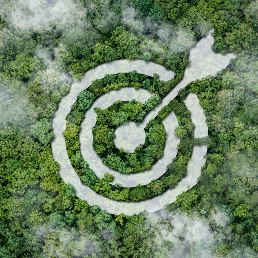 Nachhaltige Verpackungen: Wegbereiter für eine grünere Zukunft