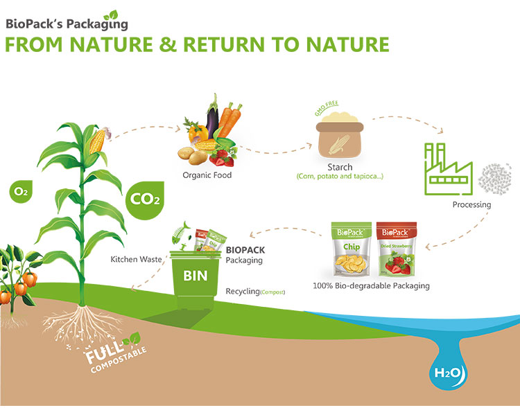 Benutzerdefinierte Cello -Taschen