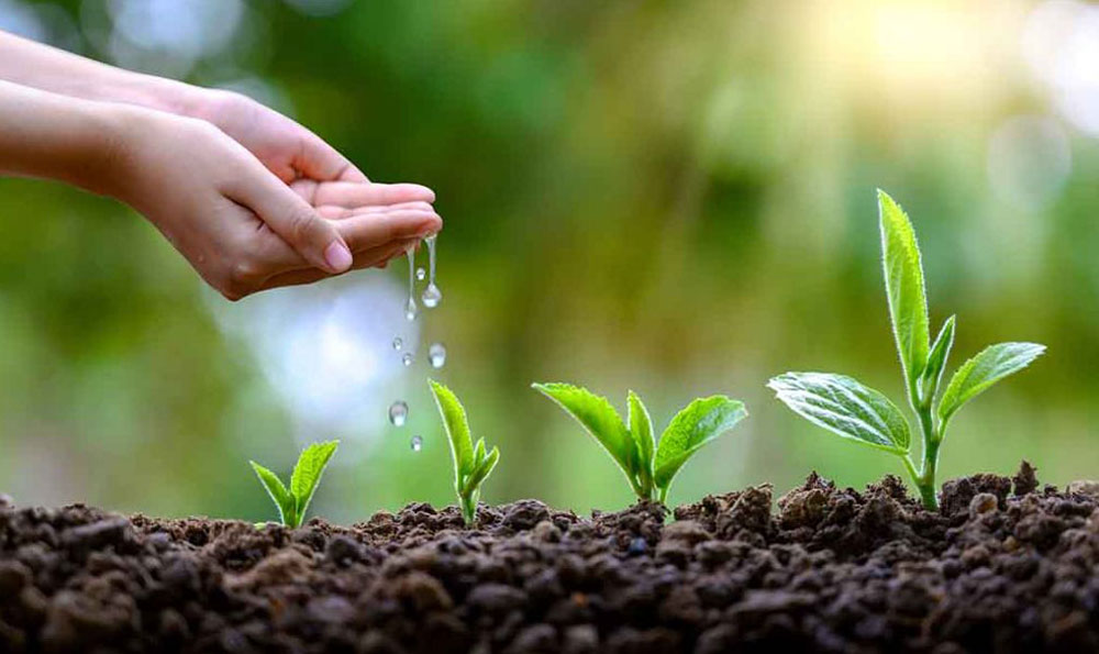 Kompostierbar flexibler Film