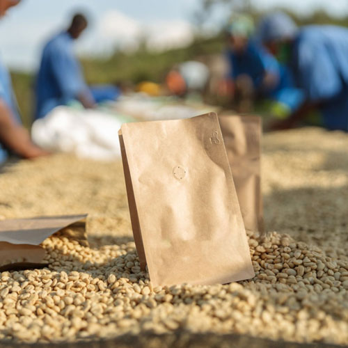 Wie Kaffee -Röster von Spezialitäten die kreisförmige Wirtschaft vorantreiben können