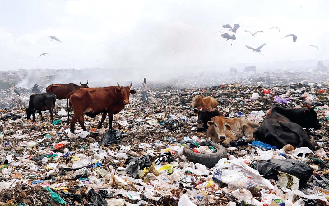 1310564982_16503539166091n