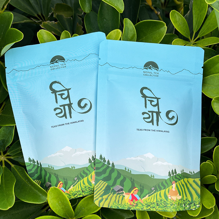 Kompostierbare kleine Stand-Up-Teebeutel im individuellen Design mit Digitaldruck