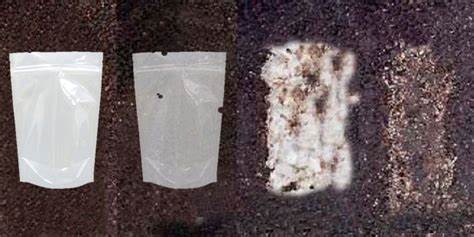 biologisch abbaubare Plastikt&uuml;ten