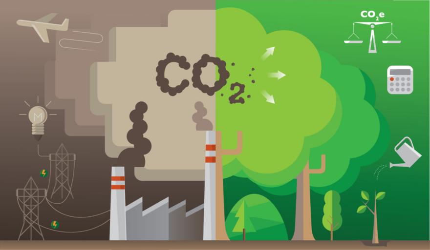 Klimaneutral: Reduzierung des CO2-Fußabdrucks von Verpackungen