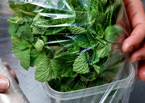 Biokunststoffe in Verpackungstüten