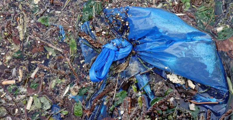 Können biologisch abbaubare Verpackungen kompostiert werden?