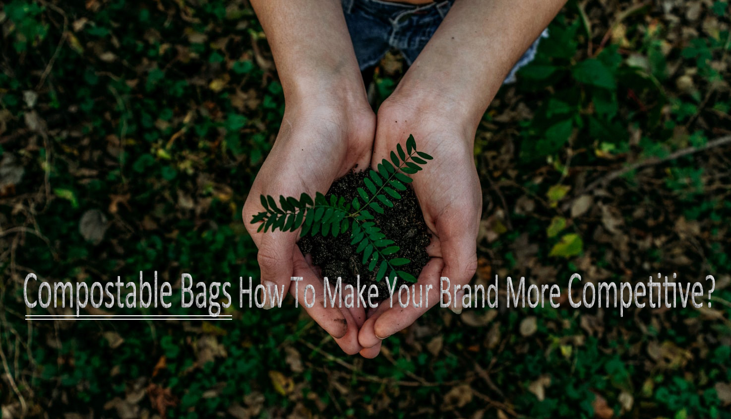 Kompostierbare Taschen Wie können Sie Ihre Marke wettbewerbsfähiger machen?