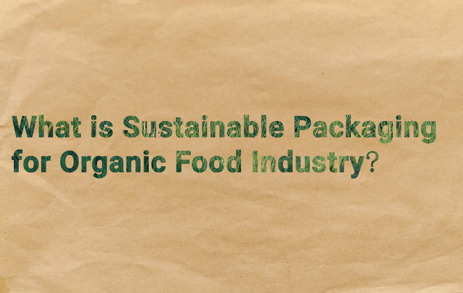 Was sind nachhaltige Verpackungen für die Bio-Lebensmittelindustrie?